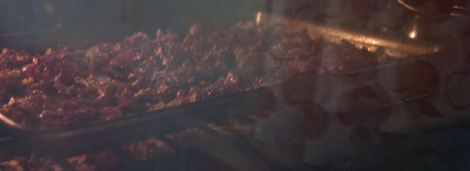 baked_kale_chips-05