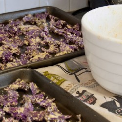 baked_kale_chips-06