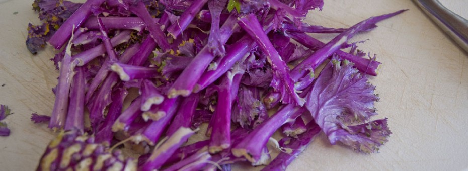 baked_kale_chips-10