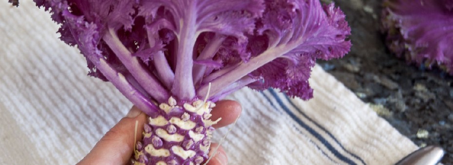 baked_kale_chips-12
