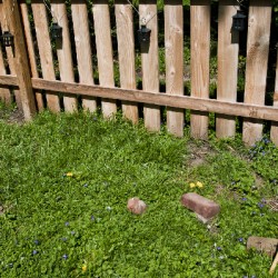 dig-a-garden_1