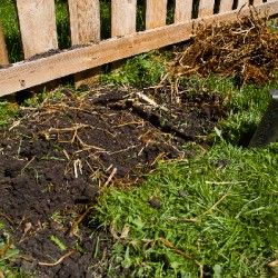 dig-a-garden_4