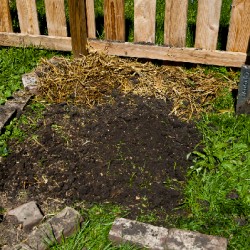 dig-a-garden_6
