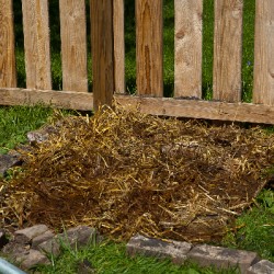 dig-a-garden_7