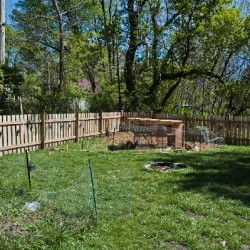 dig-a-garden_9