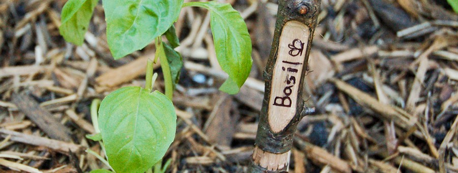 plant-marker