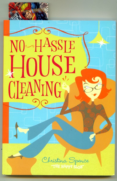nohasselhousecleaning